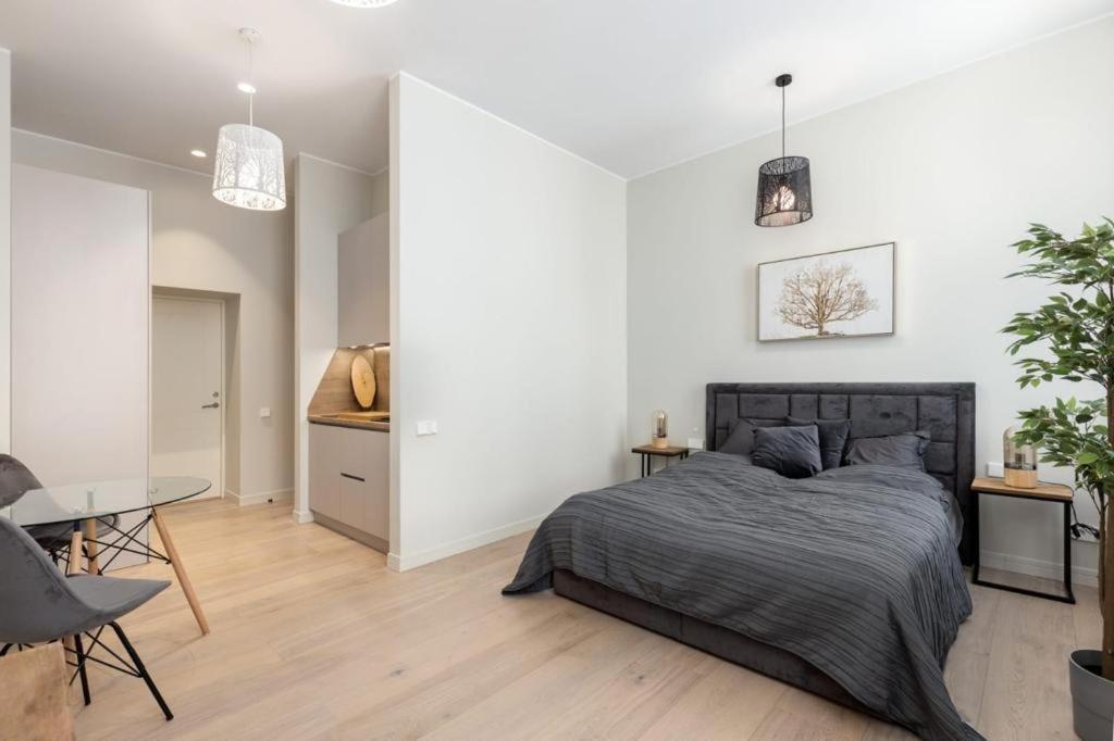Kalnina Street Studio Apartment Riga Exterior foto